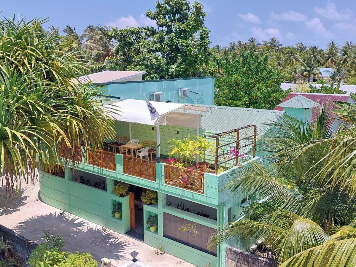 Turtle Maldives - Your Gateway To The Beach & Marine Adventures Await! Omadhoo Exterior photo