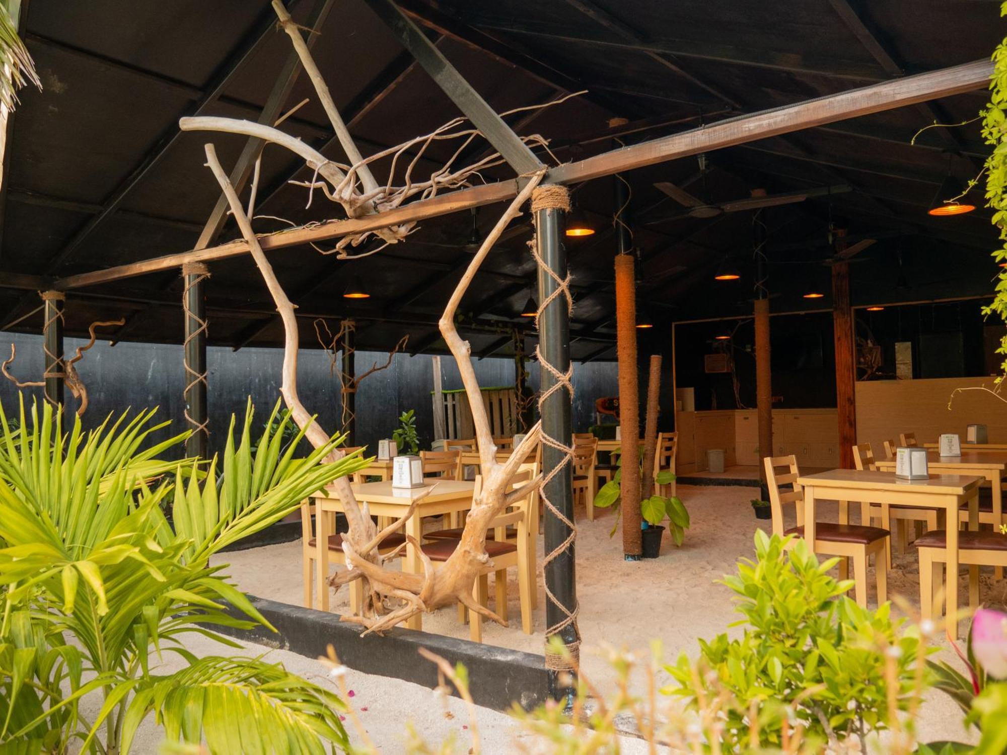Turtle Maldives - Your Gateway To The Beach & Marine Adventures Await! Omadhoo Exterior photo